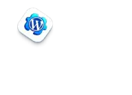 WordPress API integrations